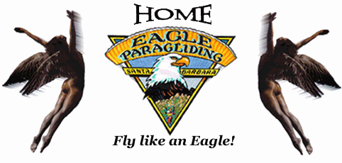 Learn to Fly with Eagle!